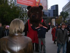 Медвед новосибирский