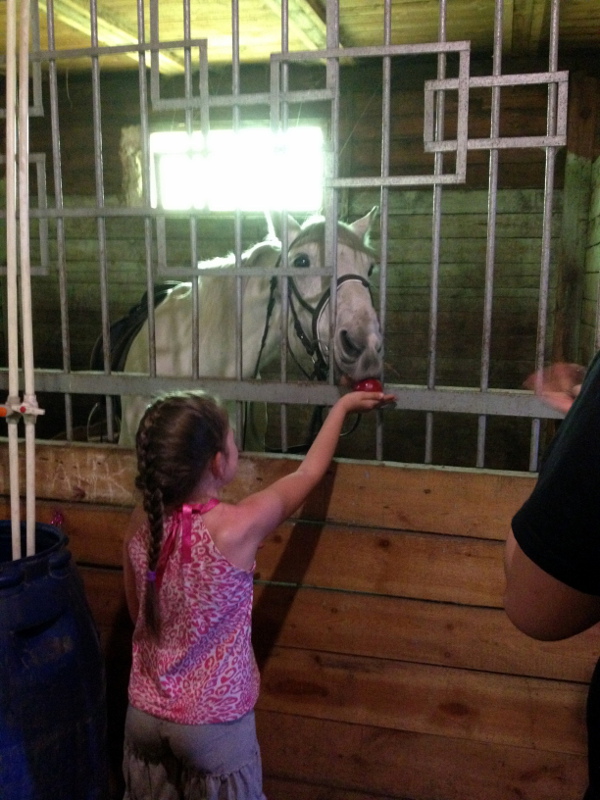 Дочь Ирины Комаровой кормит лошадку