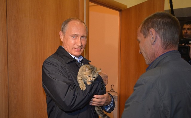 Владимир Путин и кот